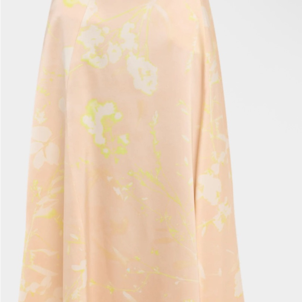 Fabiana Filippi Tilia-print Silk Midi Skirt
